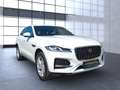 Jaguar F-Pace P400e S AWD HeadUp/Meridian/Winter Navi LED Blanc - thumbnail 5