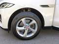Jaguar F-Pace P400e S AWD HeadUp/Meridian/Winter Navi LED Blanc - thumbnail 15