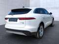 Jaguar F-Pace P400e S AWD HeadUp/Meridian/Winter Navi LED Blanc - thumbnail 4
