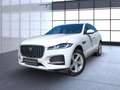Jaguar F-Pace P400e S AWD HeadUp/Meridian/Winter Navi LED Blanc - thumbnail 2