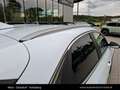 Kia XCeed /SILBER/1.0 TGDI/MT6/115/MY26 Weiß - thumbnail 17