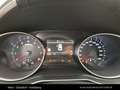 Kia XCeed /SILBER/1.0 TGDI/MT6/115/MY26 Weiß - thumbnail 22