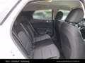 Kia XCeed /SILBER/1.0 TGDI/MT6/115/MY26 Weiß - thumbnail 26