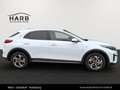 Kia XCeed /SILBER/1.0 TGDI/MT6/115/MY26 Weiß - thumbnail 10