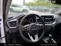 Kia XCeed /SILBER/1.0 TGDI/MT6/115/MY26 Weiß - thumbnail 19