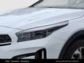 Kia XCeed /SILBER/1.0 TGDI/MT6/115/MY26 Weiß - thumbnail 11