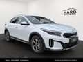 Kia XCeed /SILBER/1.0 TGDI/MT6/115/MY26 Weiß - thumbnail 5