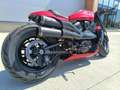 Harley-Davidson Sportster S Powerbricks custom Cafe Racer - thumbnail 8