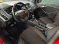 Ford Focus Wagon 1.5 Titanium, automaat, nieuwe motor,(met ga Rojo - thumbnail 5