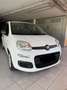 Fiat Panda 1.2 Lounge 69cv E6 - thumbnail 3