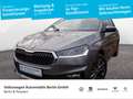 Skoda Fabia 1.0 TSI Selection OPF (EURO 6e) Grau - thumbnail 1