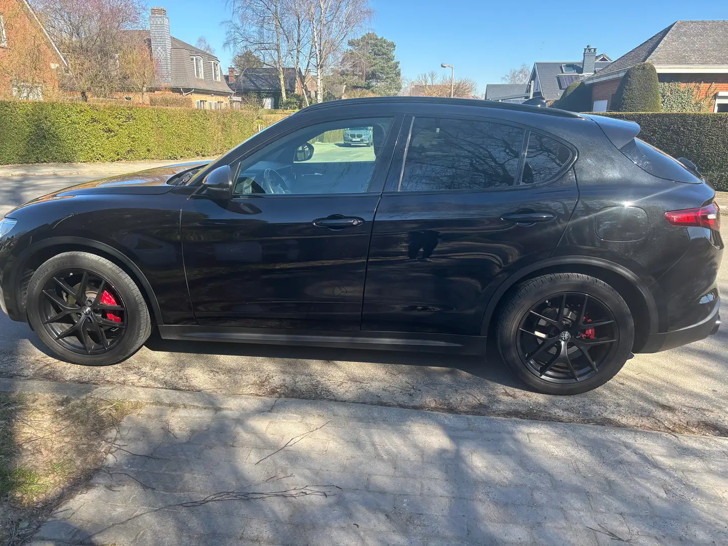 Alfa Romeo Stelvio Stelvio 2.2 JTD B-Tech (EU6d-TEMP) Zwart - 1