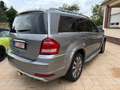 Mercedes-Benz GL 450 4Matic+LPG Gas+Leder+7 Sitze+Pano+ Silber - thumbnail 4