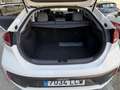 Hyundai IONIQ HEV 1.6 GDI Klass Blanco - thumbnail 31