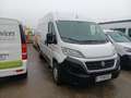 Fiat Ducato KW 33 L2H2 150 MT Service + ZR + Reifen+57a Neu Weiß - thumbnail 2