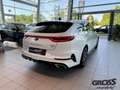 Kia ProCeed / pro_cee'd GT 1.6 T-GDI EU6d El. Panodach Navi Leder Digitale Weiß - thumbnail 7