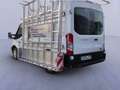 Ford Transit Kasten Glastransporter 350L2H2 HEGLA Blanc - thumbnail 2
