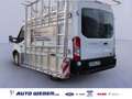 Ford Transit Kasten Glastransporter 350L2H2 HEGLA Blanc - thumbnail 1