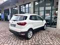 Ford EcoSport EcoSport 2014 1.5 tdci 95cv E6 ***NEOPATENTATI*** Bianco - thumbnail 6