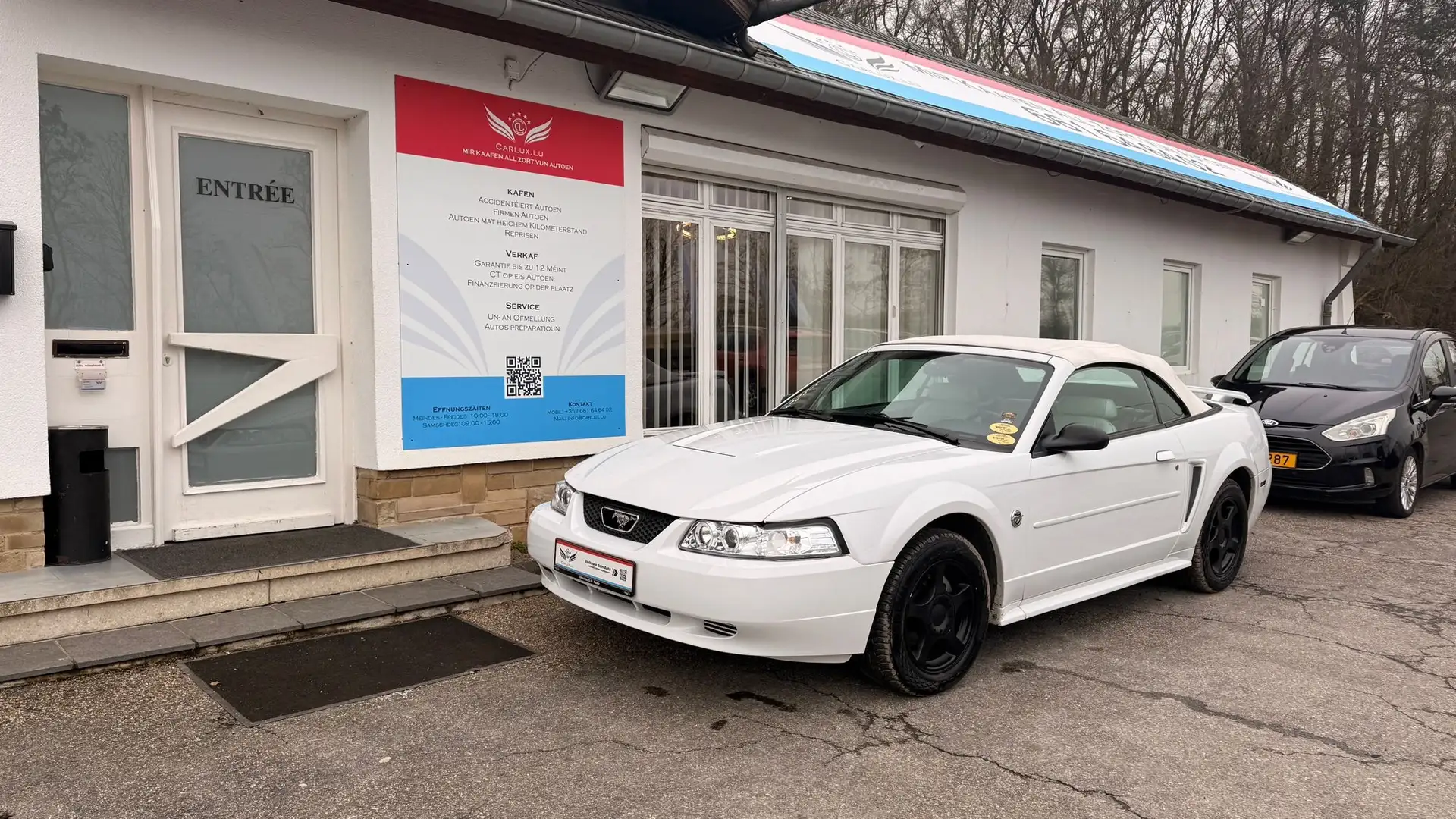 Ford Mustang Mustang Cabrio Weiß - 1