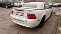 Ford Mustang Mustang Cabrio Weiß - thumbnail 12