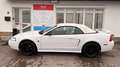 Ford Mustang Mustang Cabrio Weiß - thumbnail 13
