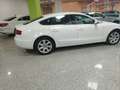 Audi A5 Sportback 2.0TDI 170 Wit - thumbnail 4