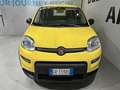 Fiat Panda 3ª serie 1.0 FireFly S&S Hybrid Geel - thumbnail 3
