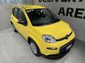 Fiat Panda 3ª serie 1.0 FireFly S&S Hybrid Geel - thumbnail 1