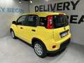Fiat Panda 3ª serie 1.0 FireFly S&S Hybrid Geel - thumbnail 5