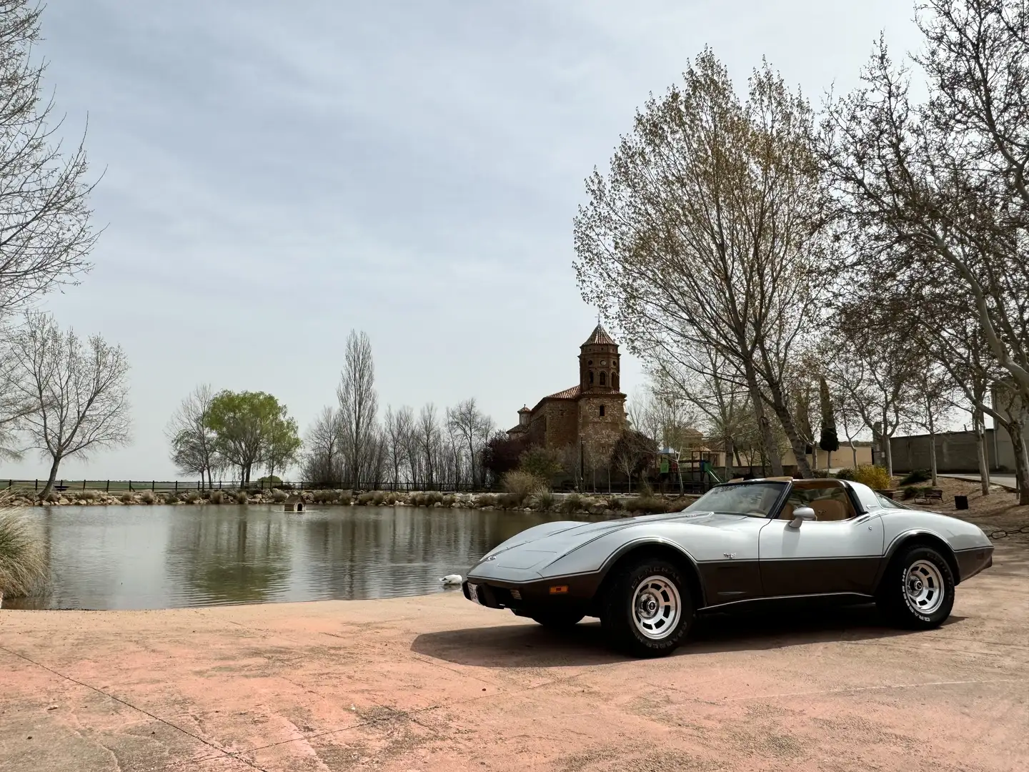 Chevrolet Corvette 25 th black & silver Šedá - 1