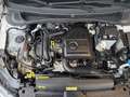 Volkswagen Polo 1.0 TSI 95 PK COMFORTLINE 5-DRS. 1e EIG. Wit - thumbnail 33