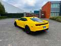 Chevrolet Camaro V6 3.6 Bumblebee ZL1 pakket bodykit - thumbnail 6