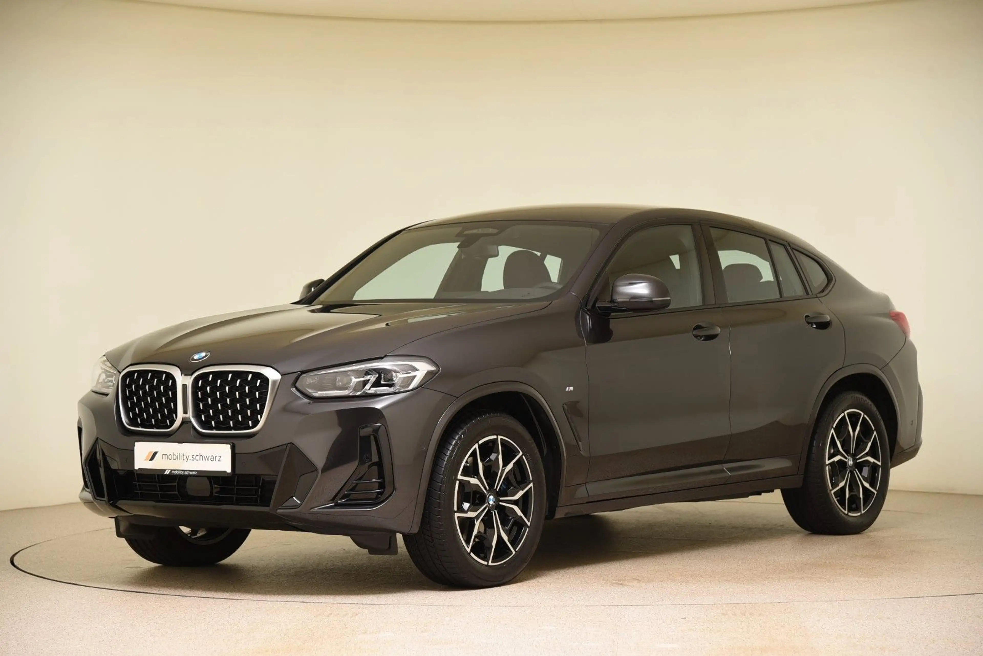 BMW X4 xDrive30d M Sport DriveAssProf AHK HiFi Leder