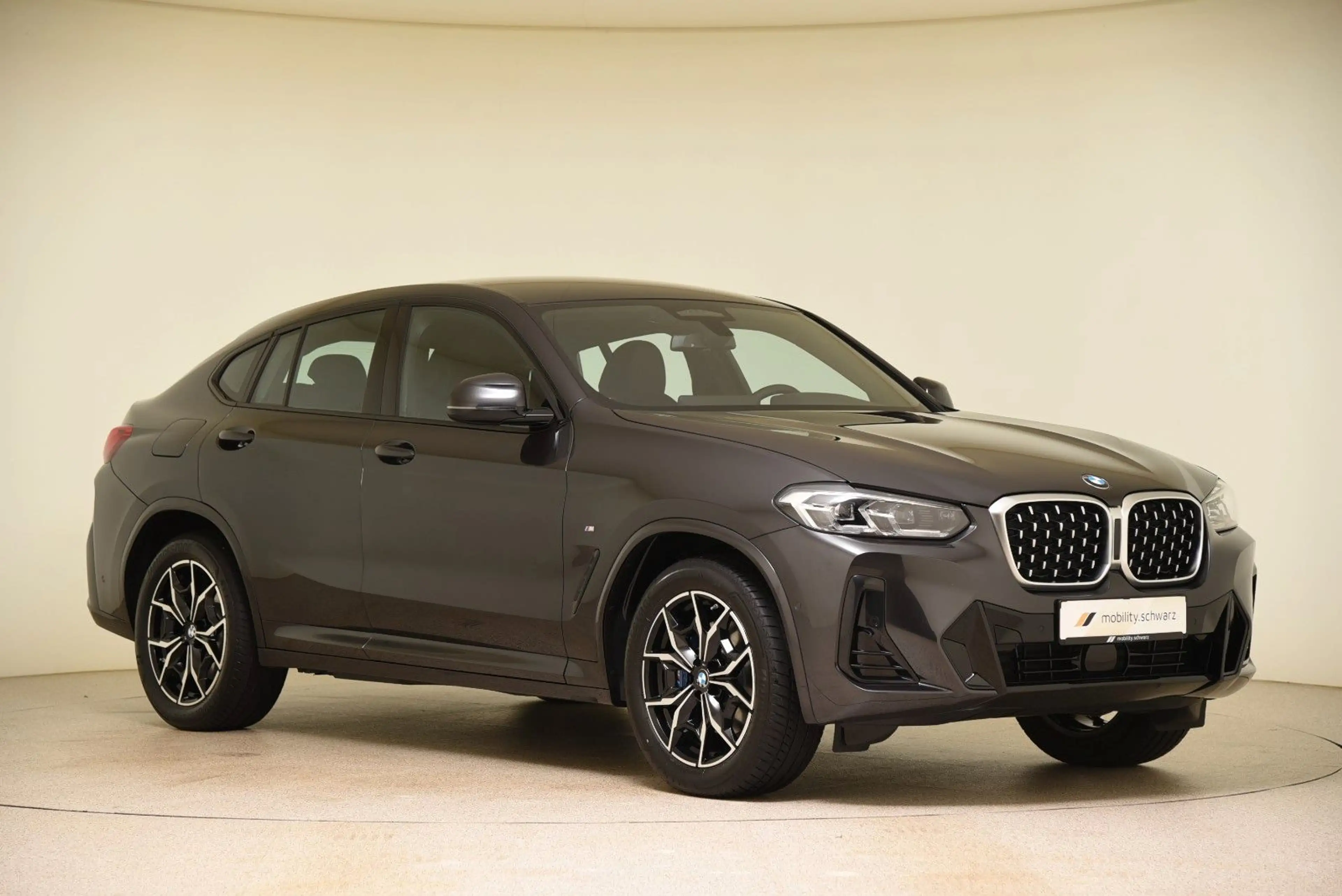 BMW X4 xDrive30d M Sport DriveAssProf AHK HiFi Leder — photo 4