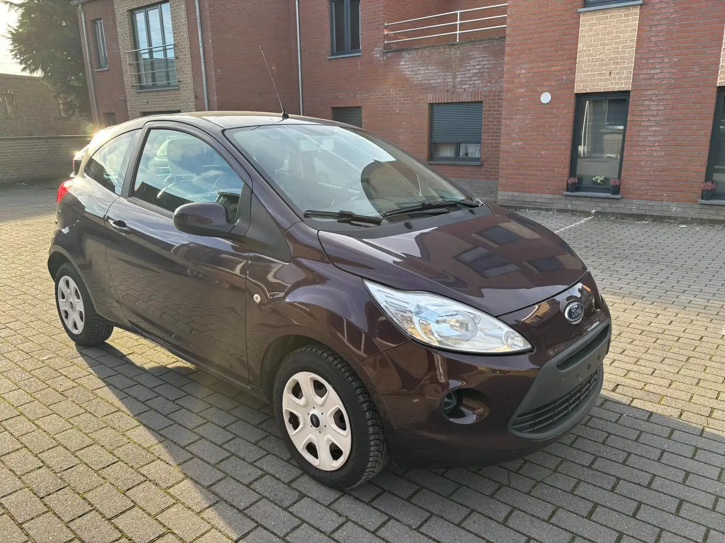 Ford Ka/Ka+ Ka 1.3 TDCi Titanium X Start/Stop DPF Brun - 1