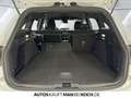 Ford Focus 1.0 EB ST-Line AT LED Navi SHZ ACC LHZ KAM Weiß - thumbnail 14