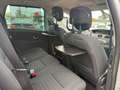 Renault Scenic III Limited Grau - thumbnail 14