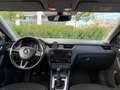 Skoda Octavia Octavia 1,6 TDI Ambition Ambition Grau - thumbnail 12