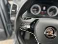 Skoda Karoq 1.6 TDI Drive 125 AHK+Park+Kam+SH+Vario Grau - thumbnail 21