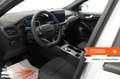 Ford Focus Focus 1.5 EcoBlue 115 CV automatico 5p. ST-Line Beige - thumbnail 13