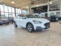 Ford Focus Lim. Active Weiß - thumbnail 8