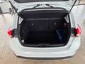 Ford Focus Lim. Active Weiß - thumbnail 10