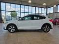 Ford Focus Lim. Active Weiß - thumbnail 2