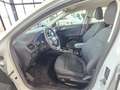 Ford Focus Lim. Active Weiß - thumbnail 15