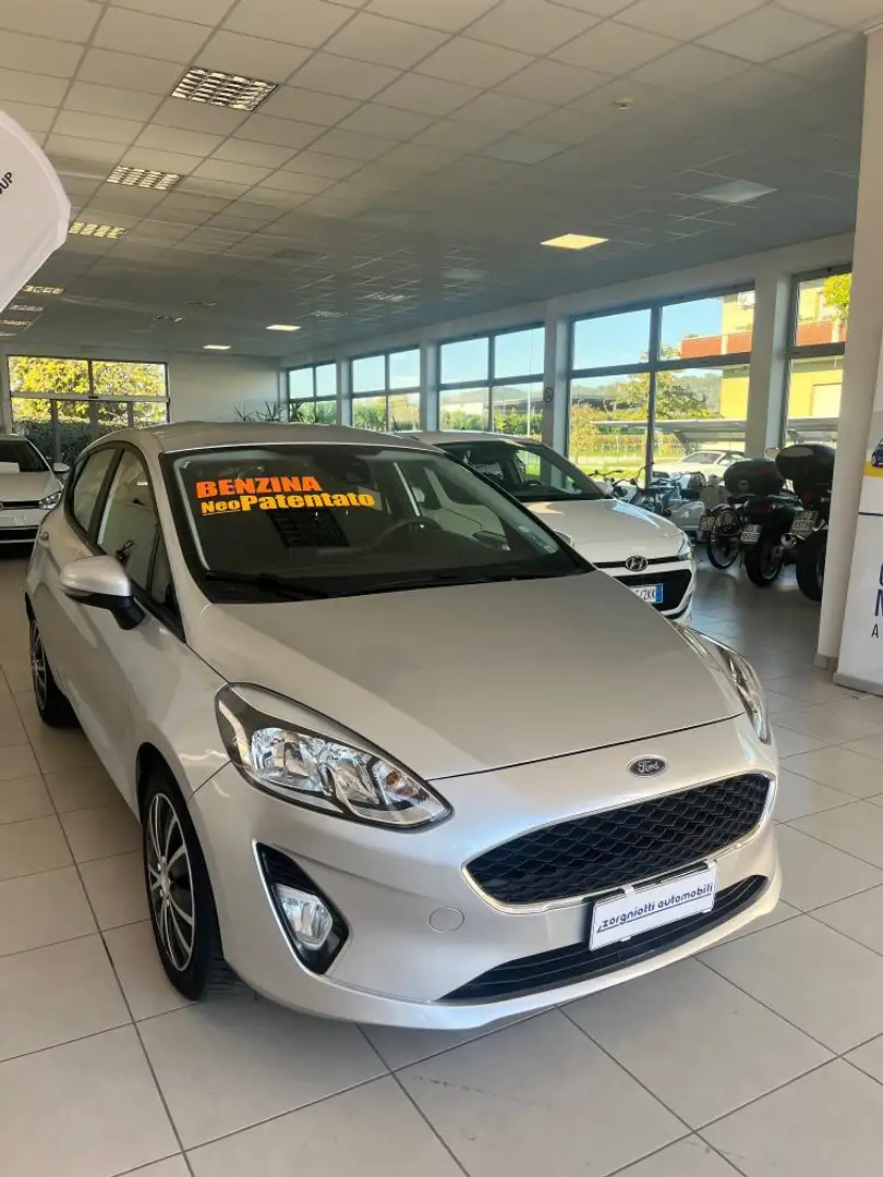Ford Fiesta Fiesta 5p 1.1 Plus 70cv Gris - 1