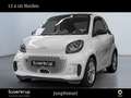 smart forTwo EQ  22KW SHZ Weiß - thumbnail 1