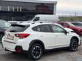 Subaru XV Exclusive/AHK/SHZ/EURO 6 Alb - thumbnail 6
