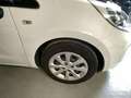 Kia Rio 1.2 CVVT 85cv Concept Amarillo - thumbnail 22