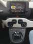 Fiat Panda 1.0 Hybrid Pandina - KM. ZERO - PRONTA CONSEGNA Vert - thumbnail 12
